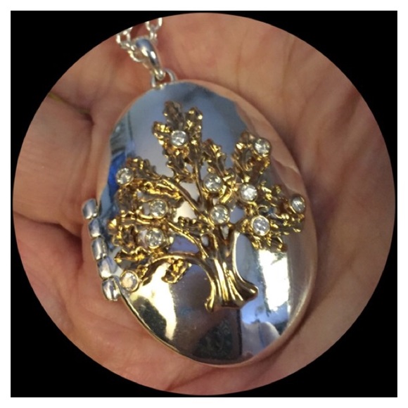 😎Oaktree Incentive Locket - Picture 4 of 6